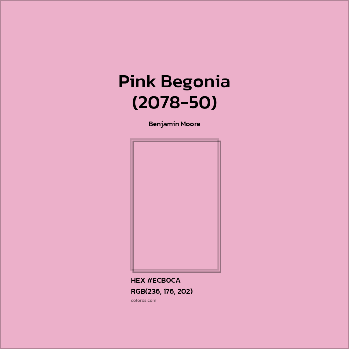 #ECB0CA Pink Begonia (2078-50) Paint Benjamin Moore - Color codes and meaning | Matching colors and paints
