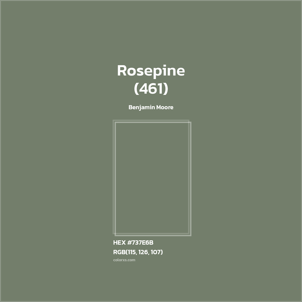 #737E6B Rosepine (461) Paint Benjamin Moore - Color codes and meaning | Matching colors and paints