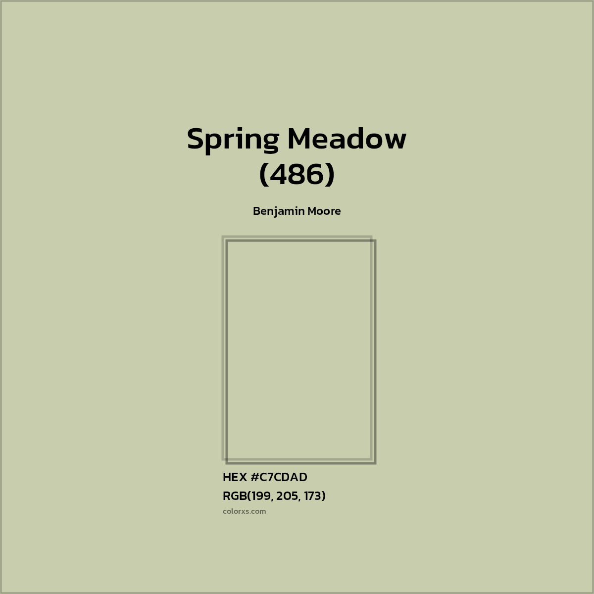 #C7CDAD Spring Meadow (486) Paint Benjamin Moore - Color codes and meaning | Matching colors and paints