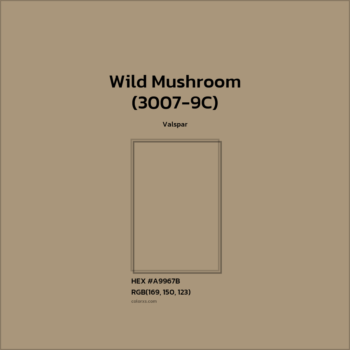 #A9967B Wild Mushroom (3007-9C) Paint Valspar - Color codes and meaning | Matching colors and paints