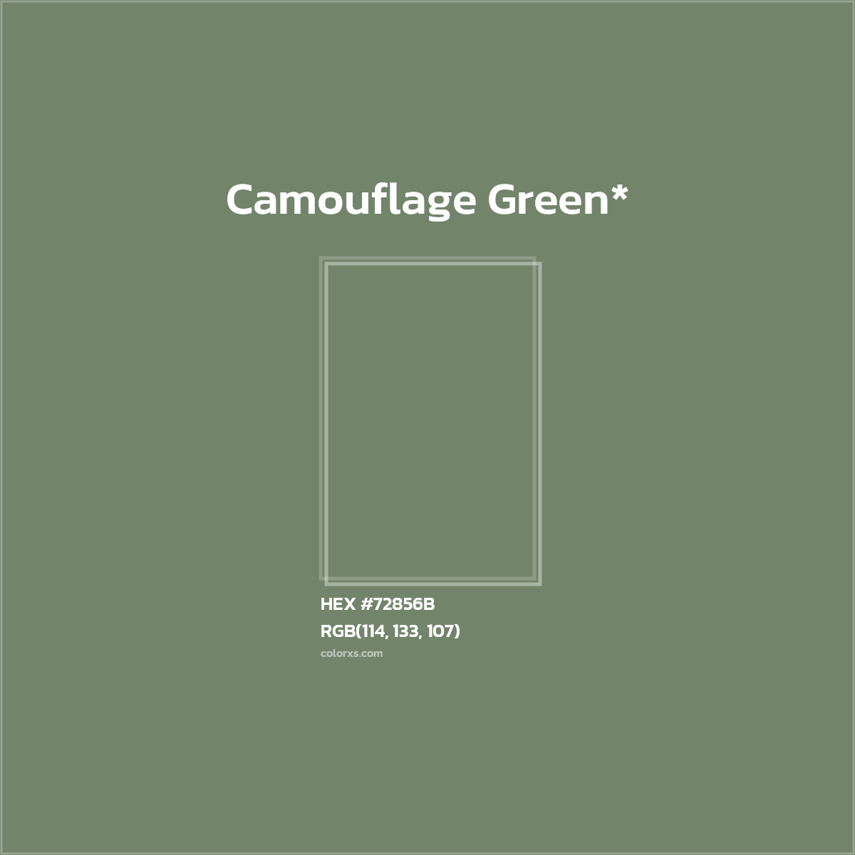 #72856B hex color. RGB, RYB, CMYK, HSL, HSV codes and color conversions. Matching color names, palettes, paints.