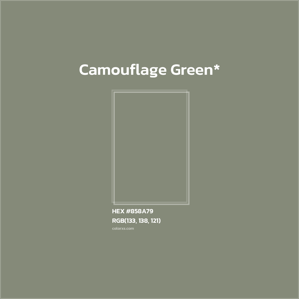 #858A79 hex color. RGB, RYB, CMYK, HSL, HSV codes and color conversions. Matching color names, palettes, paints.