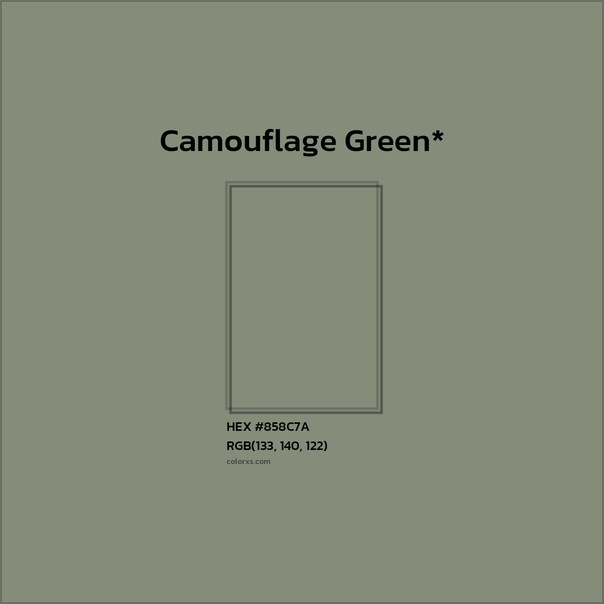#858C7A hex color. RGB, RYB, CMYK, HSL, HSV codes and color conversions. Matching color names, palettes, paints.