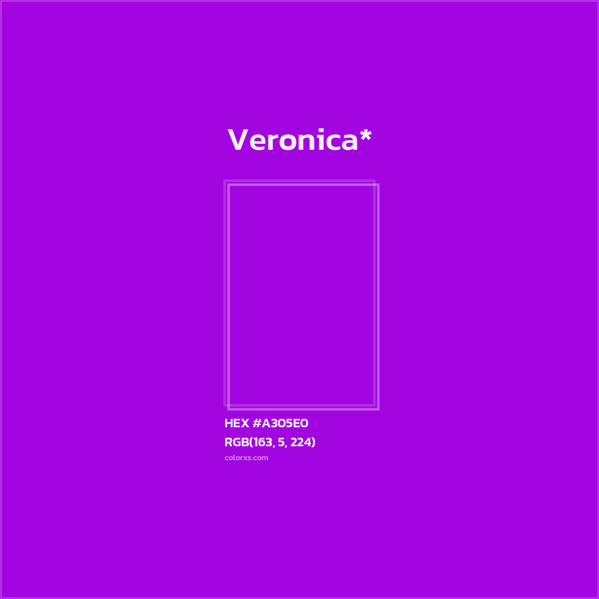 #A305E0 hex color. RGB, RYB, CMYK, HSL, HSV codes and color conversions. Matching color names, palettes, paints.