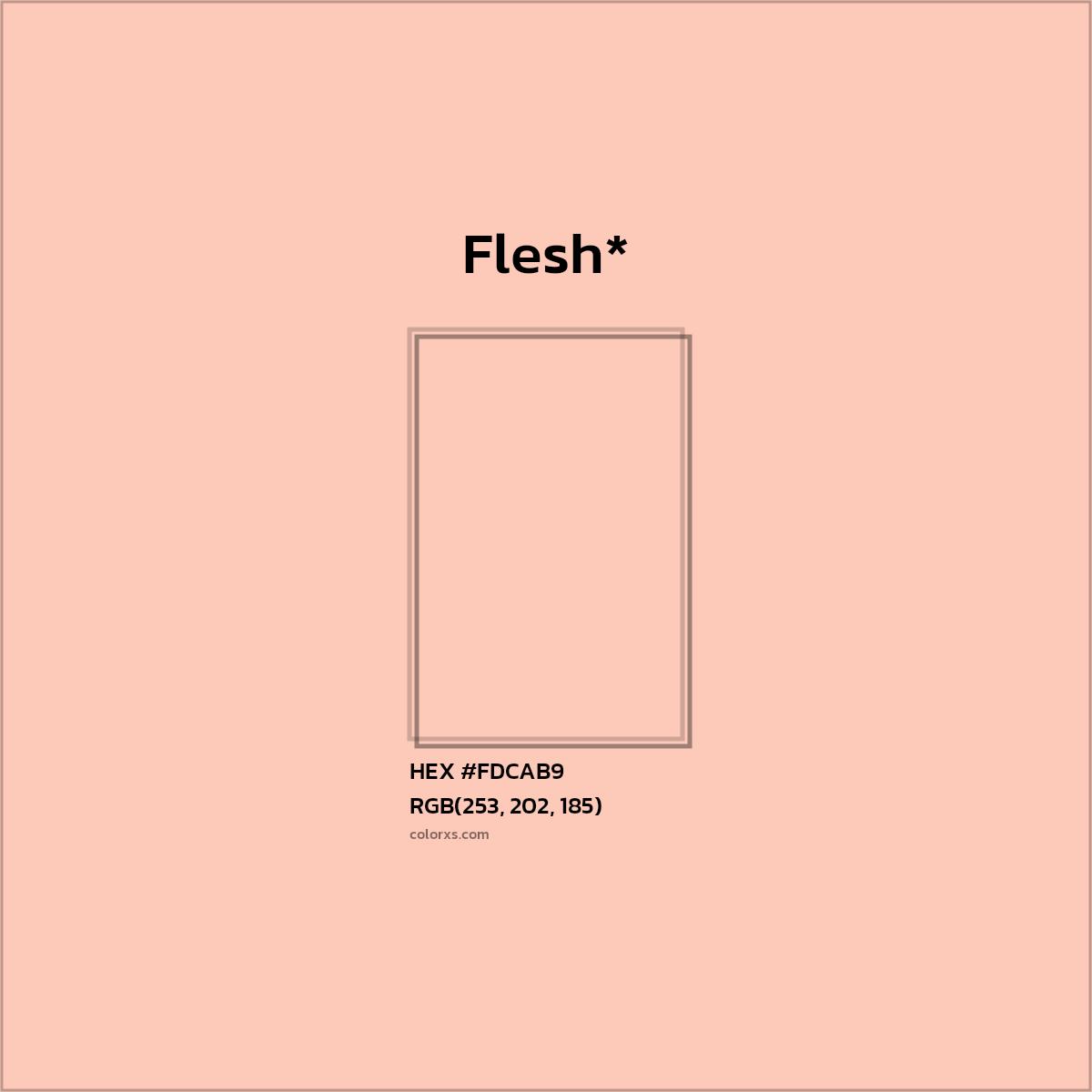 #FDCAB9 hex color. RGB, RYB, CMYK, HSL, HSV codes and color conversions. Matching color names, palettes, paints.